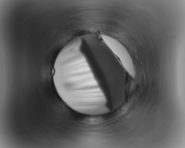 X0000089730466200707201845