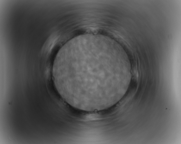 X0000089730468200707201845