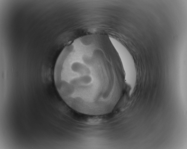 X0000089730470200707201845