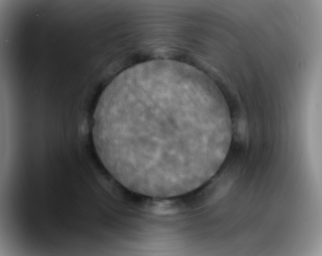 X0000089730472200707201845