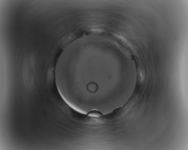 X0000089730475200707201845