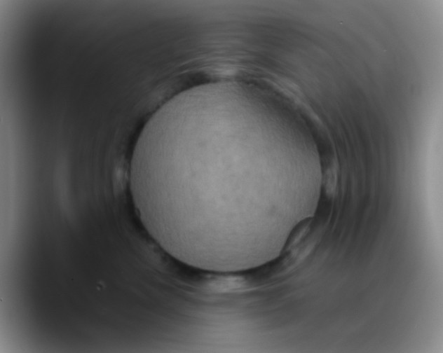 X0000089730476200707201845