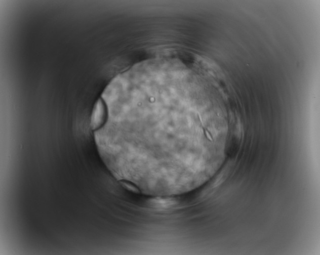 X0000089730477200707201845