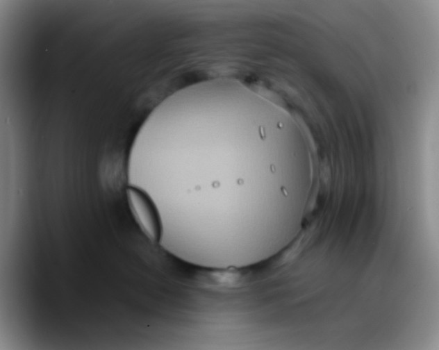 X0000089730478200707201845