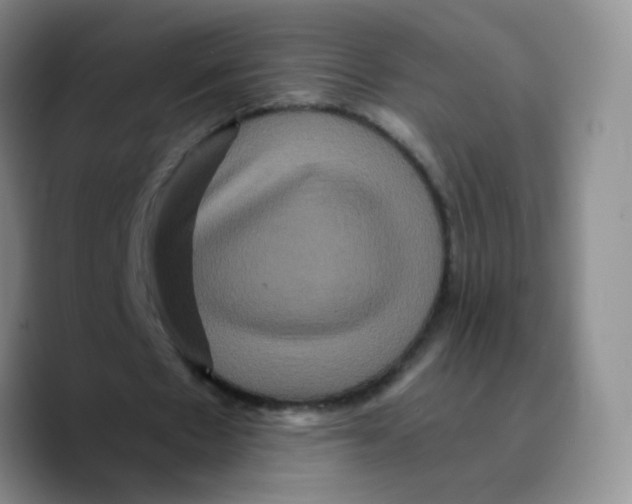 X0000089730481200707201844