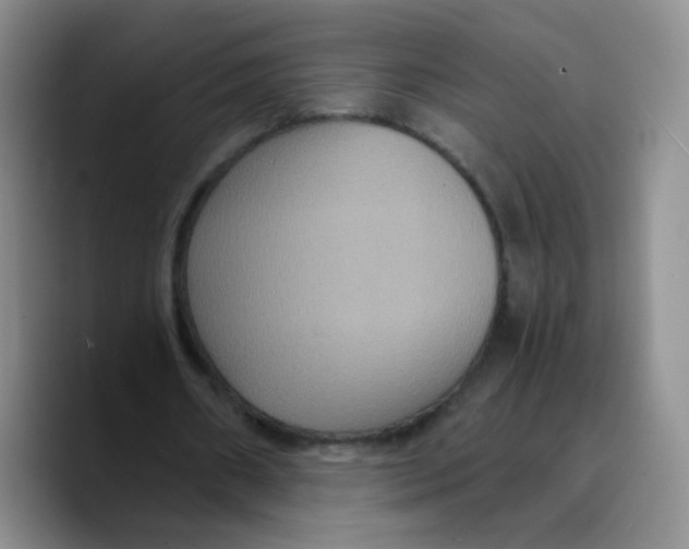 X0000089730482200707201844