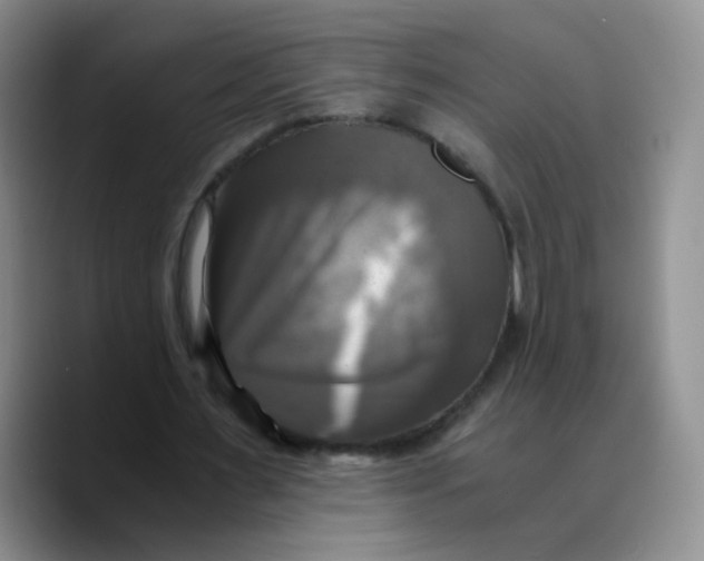 X0000089730483200707201844