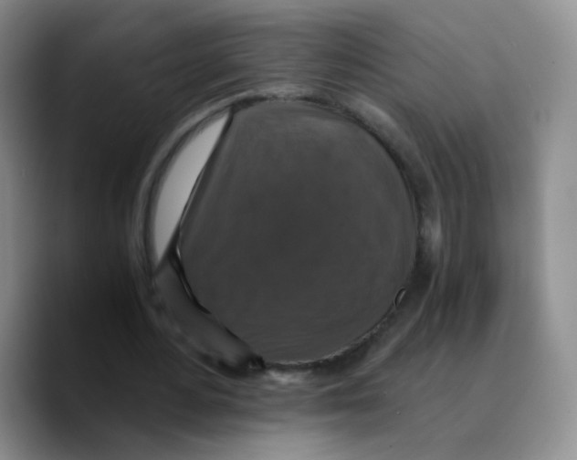X0000089730484200707201844