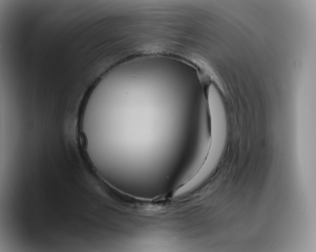 X0000089730485200707201844