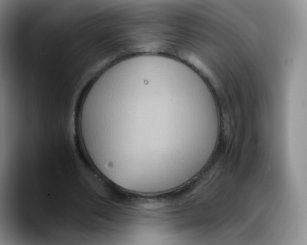 X0000089730486200707201844