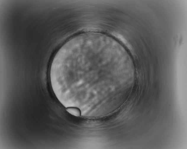 X0000089730487200707201844