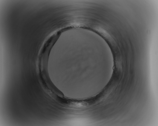 X0000089730488200707201844