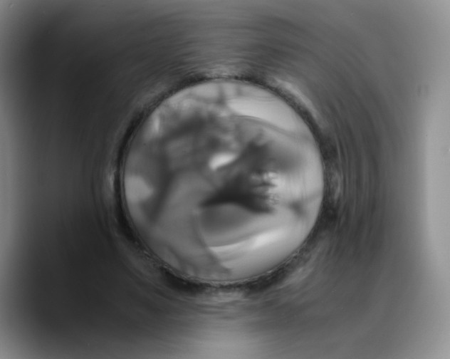 X0000089730491200707201844