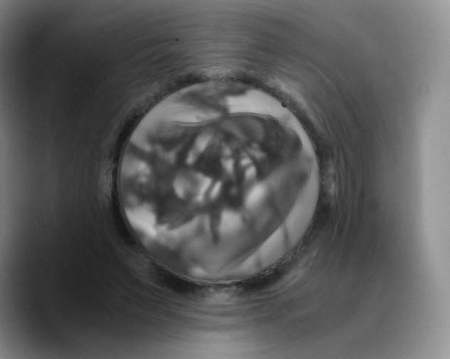 X0000089730495200707201844