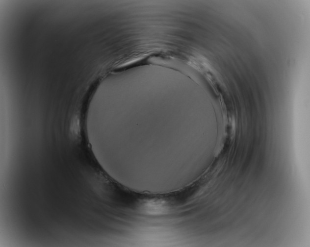 X0000089730500200707201844