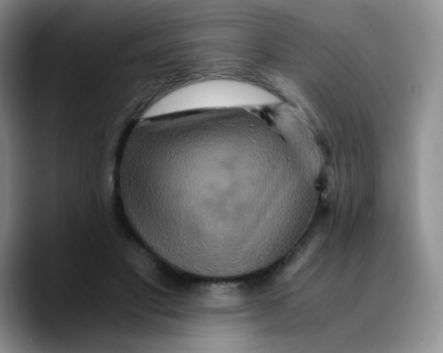X0000089730501200707201844