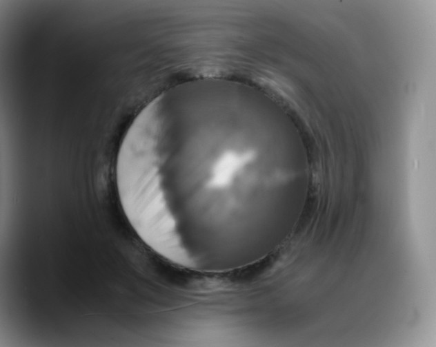 X0000089730503200707201844