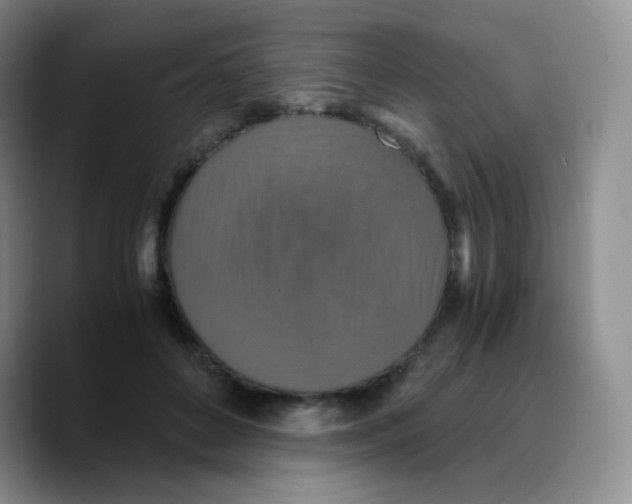 X0000089730504200707201844