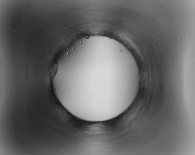 X0000089730505200707201844