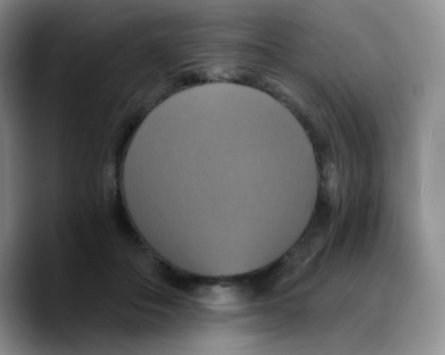 X0000089730506200707201844
