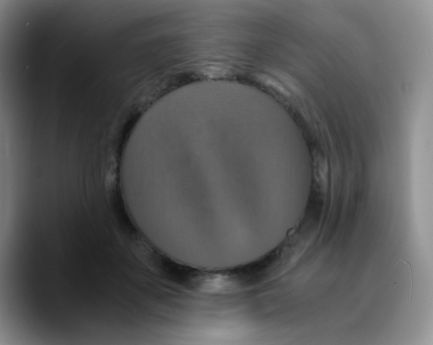 X0000089730507200707201844