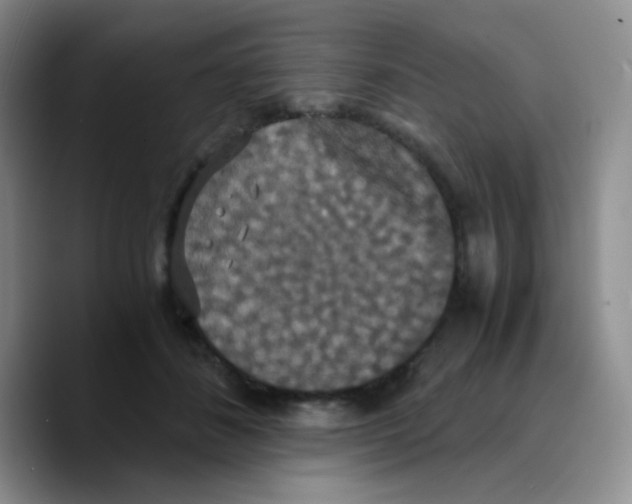 X0000089730508200707201844