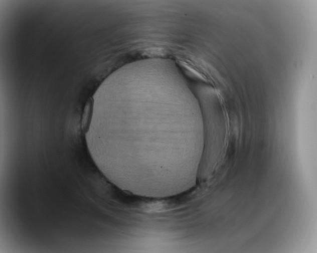X0000089730513200707201844