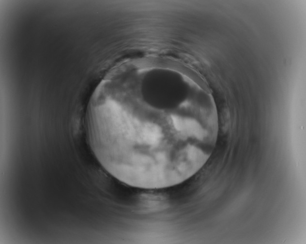 X0000089730515200707201844