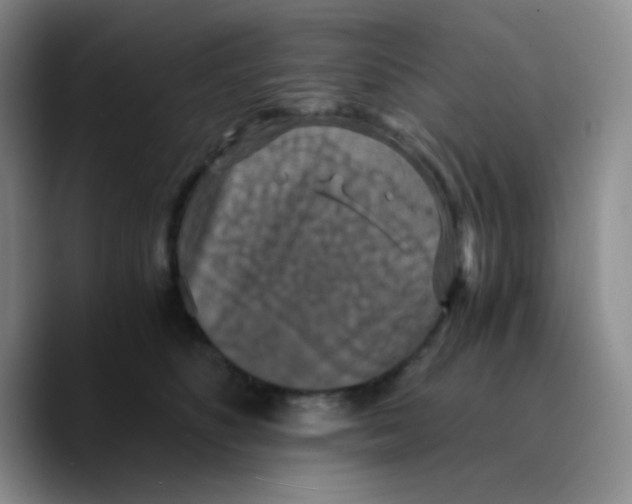 X0000089730516200707201844
