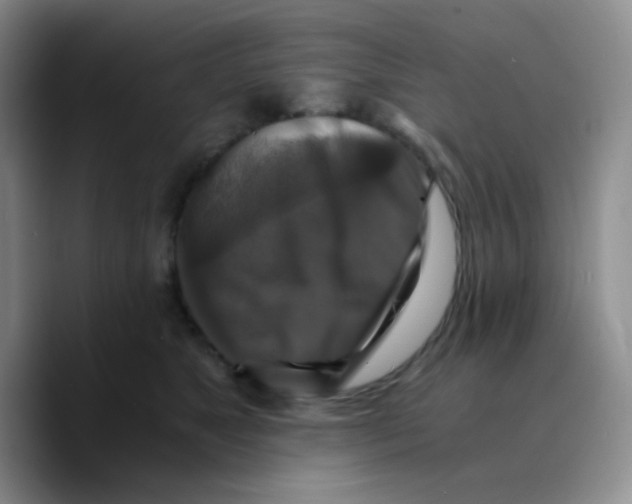 X0000089730517200707201844