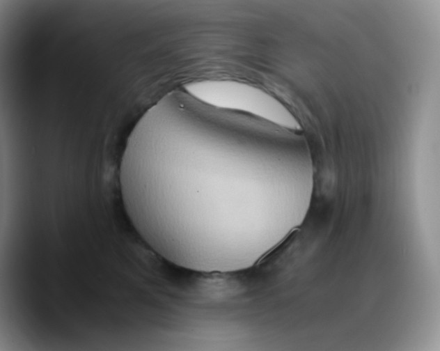 X0000089730521200707201844