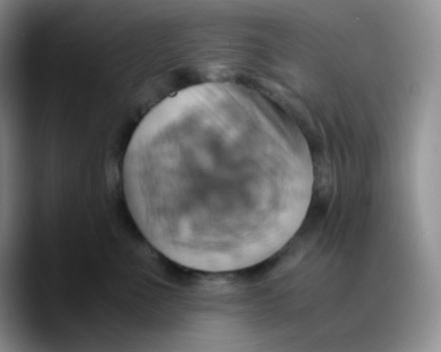 X0000089730523200707201844
