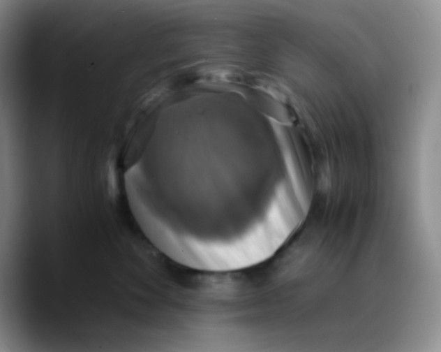X0000089730524200707201844