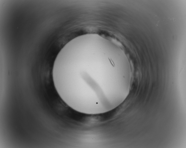 X0000089730525200707201844