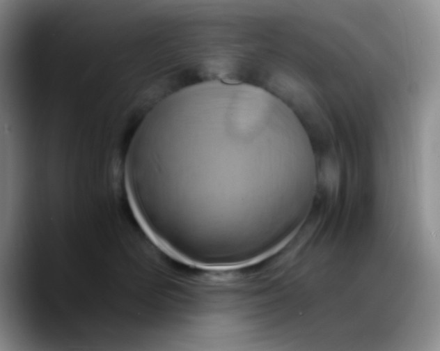 X0000089730526200707201844