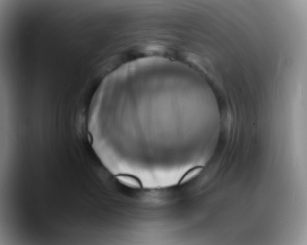 X0000089730527200707201844