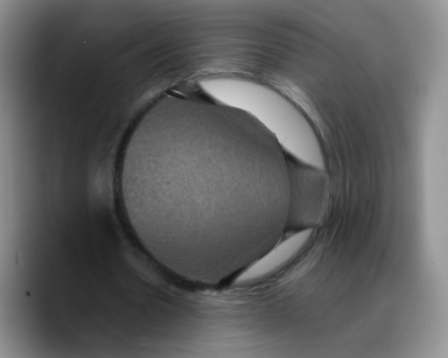 X0000089730530200707201843