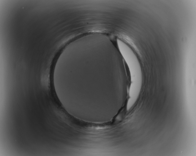 X0000089730531200707201843