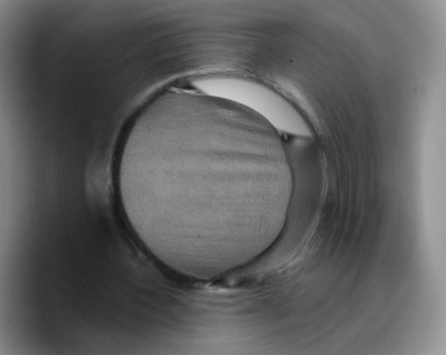 X0000089730532200707201843