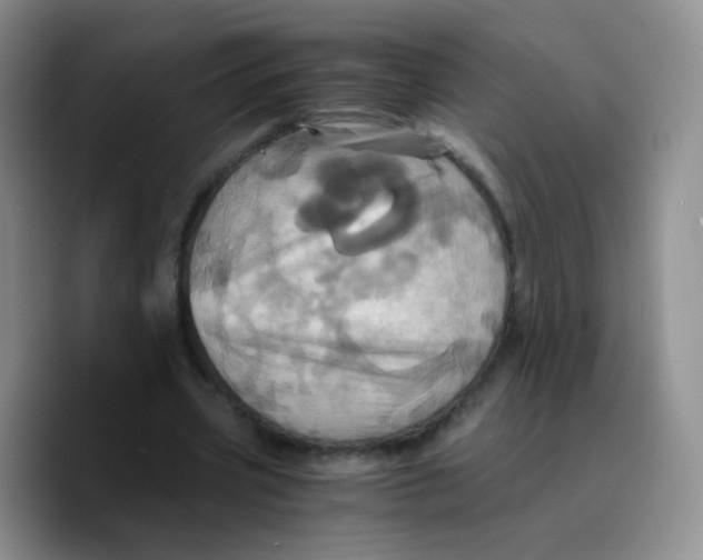 X0000089730533200707201843