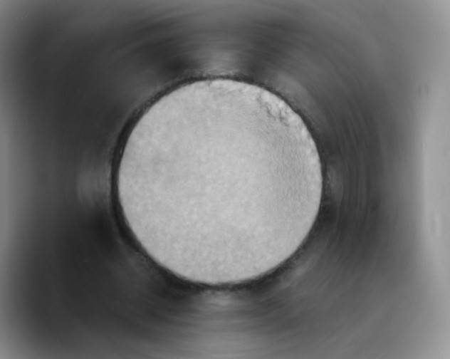 X0000089730534200707201843