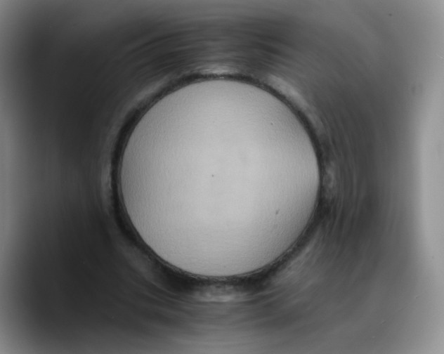 X0000089730535200707201843
