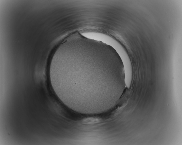 X0000089730536200707201843