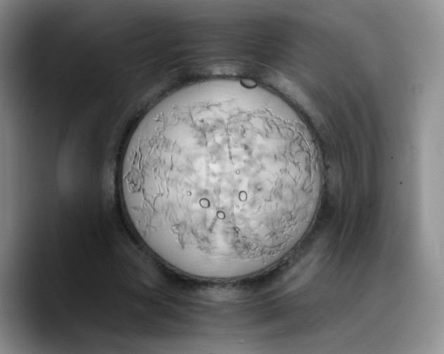 X0000089730537200707201843