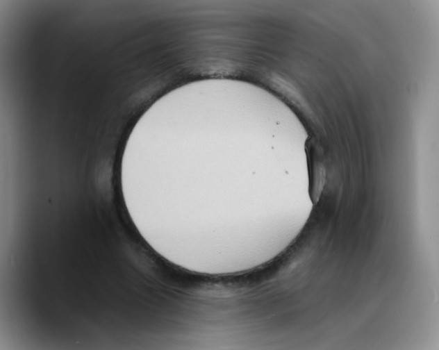 X0000089730538200707201843