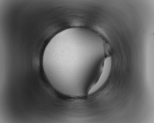X0000089730539200707201843