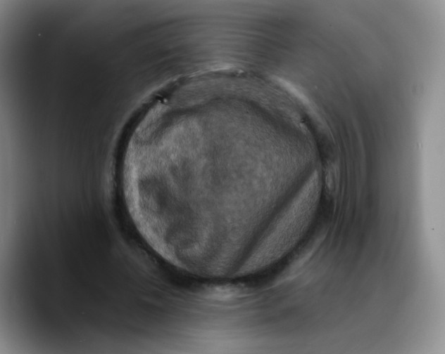 X0000089730540200707201843