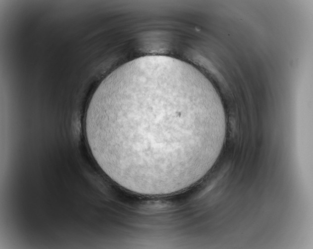 X0000089730541200707201843