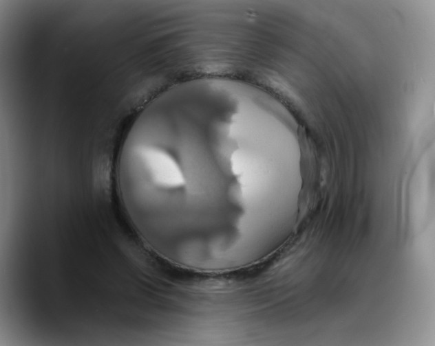 X0000089730542200707201843