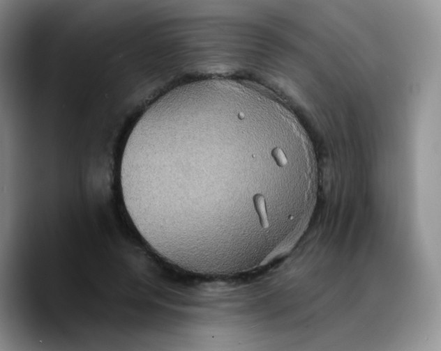 X0000089730544200707201843